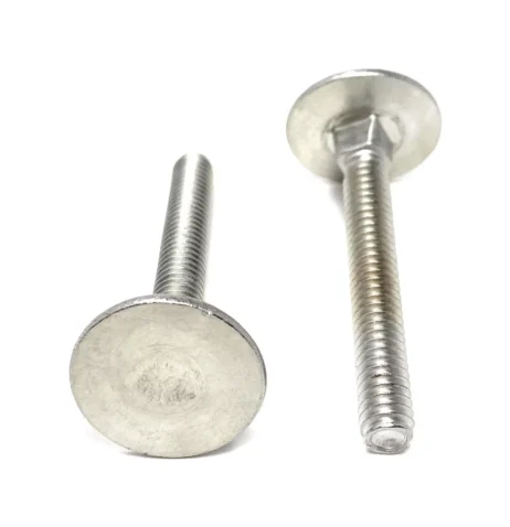 1/4-20x2 Stainless Steel Elevator Bolt Square Neck (7/8 Diameter Head) 18-8 (10 Pieces)